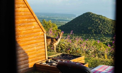 Diana Dea Lodge & Spa